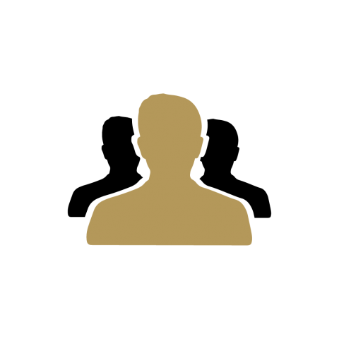 ottimi-icon-companalysis-black.png