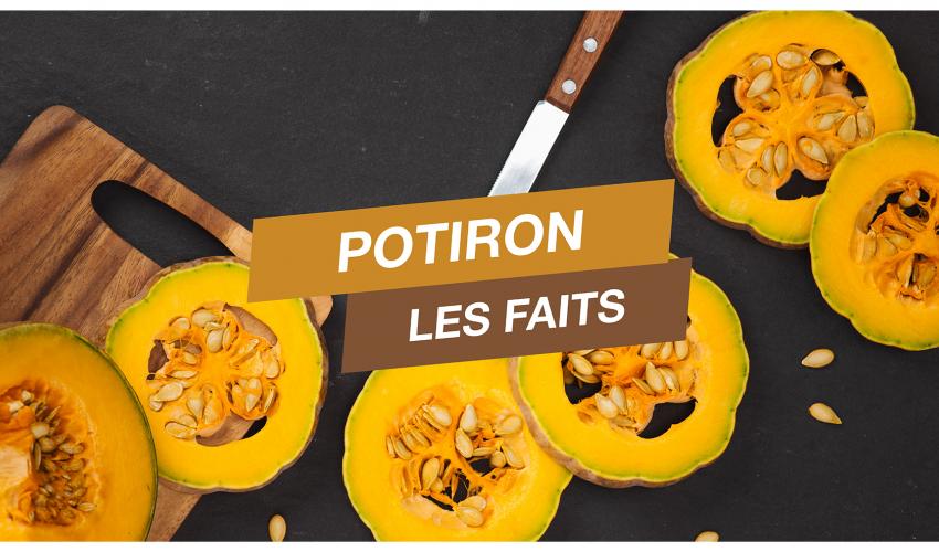 Légume du mois d’octobre : le potiron