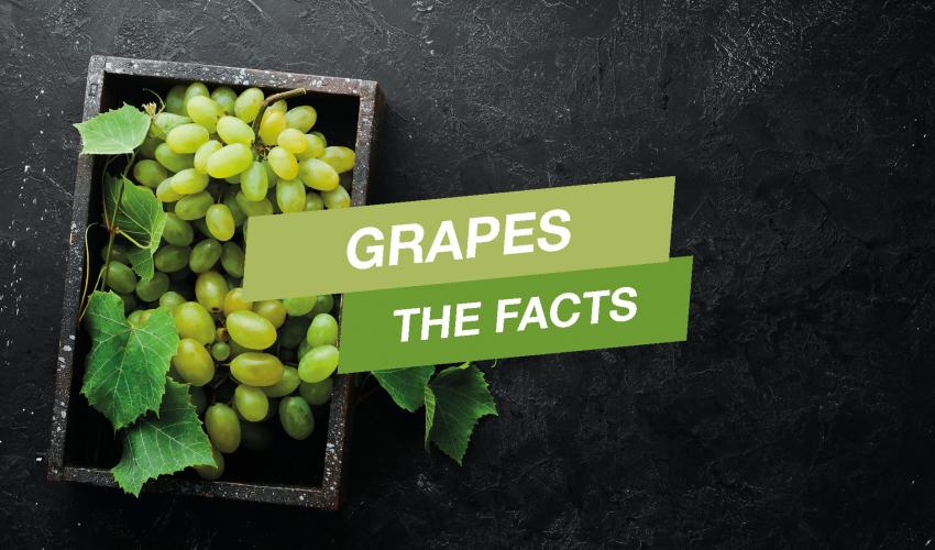 Grapes