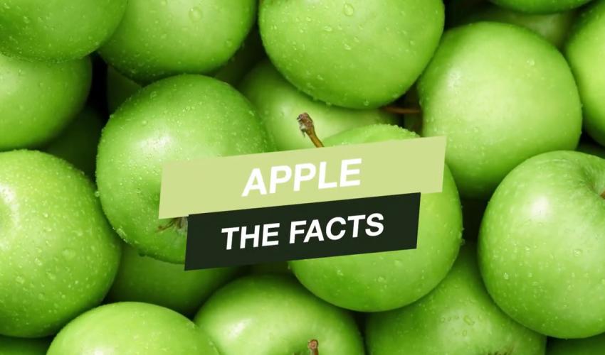 fruit of the month december: apple