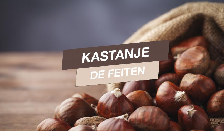 Zak heerlijke kastanjes in close-up