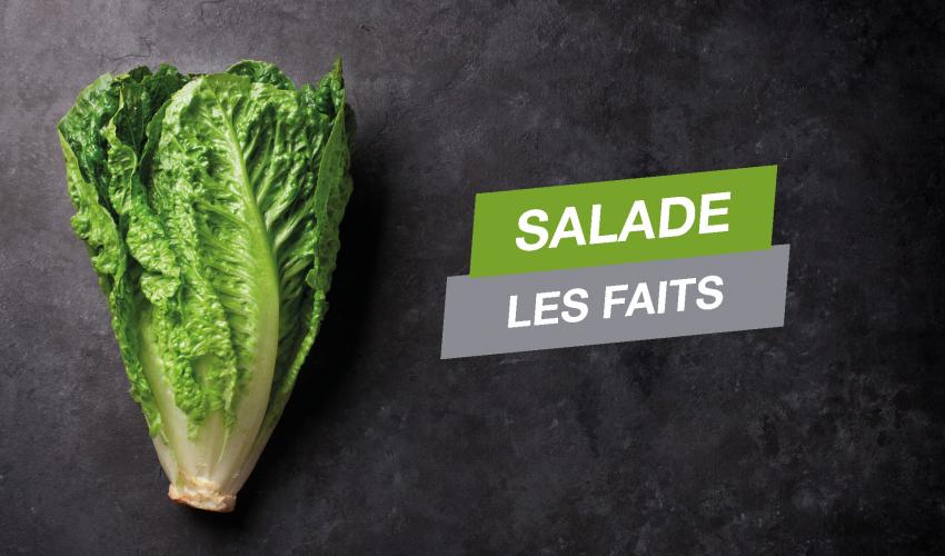 salade