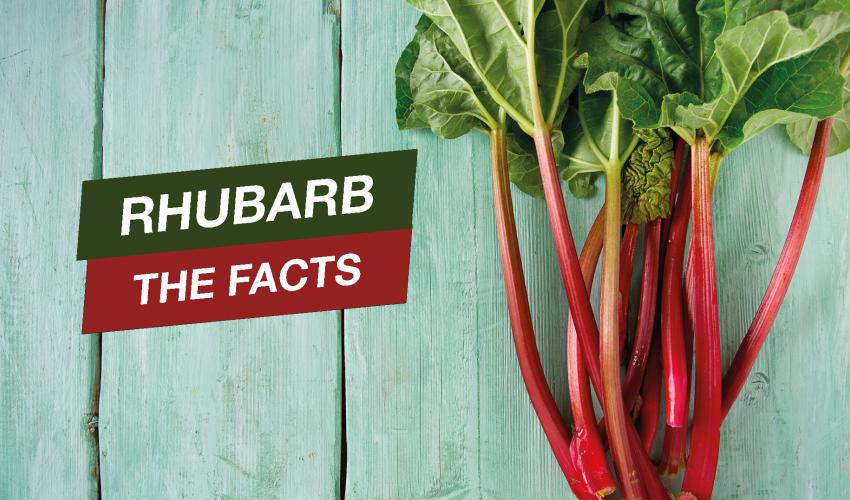 rhubarb stalks with leaves on wood background