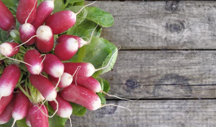 pink-radish.jpg